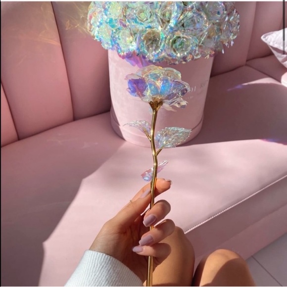 🌈🌹 iridescent multicolor rose flower rainbow - Picture 2 of 8